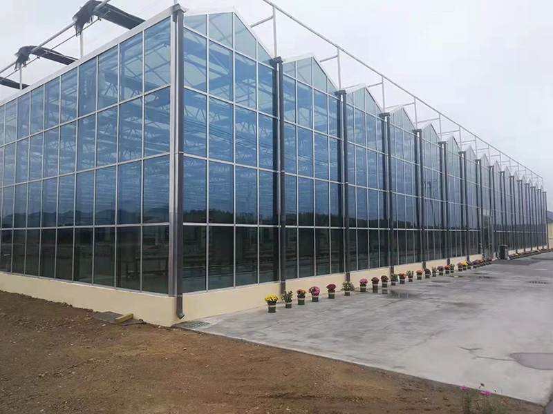 玻璃溫室的結構設計與材料特性